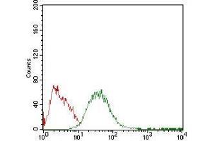 Flow cytometric analysis of HepG2 cells using PLIN2 mouse mAb (green) and negative control (red). (ADRP 抗体  (AA 286-437))