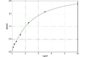 Aldo-Keto Reductase Family 1, Member B1 (Aldose Reductase) (AKR1B1) ELISA Kit