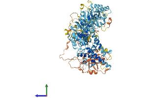 Protein Structure (PS) image for Peroxisomal Biogenesis Factor 6 (PEX6) (AA 1-980) protein (His tag) (ABIN7554936)