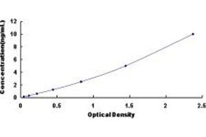 Typical standard curve (RCN2 ELISA 试剂盒)