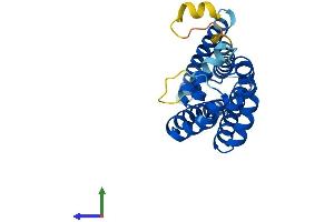 Protein Structure (PS) image for Tetraspanin 1 (TSPAN1) (AA 1-240) protein (His tag) (ABIN7560299)