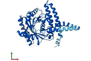 Protein Structure (PS) image for 1-Acylglycerol-3-Phosphate O-Acyltransferase 4 (AGPAT4) (AA 1-378) protein (His tag) (ABIN7550828)