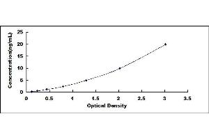 Typical standard curve (COL5A2 ELISA 试剂盒)