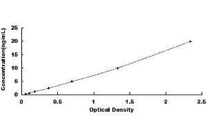 Carbonic Anhydrase II (CA2) ELISA Kit