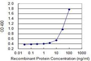 Sandwich ELISA detection sensitivity ranging from 1 ng/mL to 100 ng/mL. (SPINK1 (人) Matched Antibody Pair)