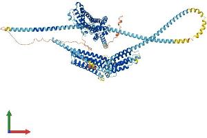 AlphaFold protein structure predicition of Mouse Recombinant Hip1 Protein, UniprotID Q8VD75