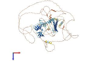 AlphaFold protein structure predicition of Mouse Recombinant Phf20l1 Protein, UniprotID Q8CCJ9 (PHF20L1 Protein (AA 1-1013) (His tag))