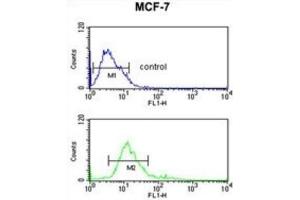 Flow Cytometry (FACS) image for anti-IMP (Inosine 5'-Monophosphate) Dehydrogenase 2 (IMPDH2) antibody (ABIN3003184) (IMPDH2 抗体)