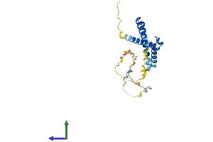 Protein Structure (PS) image for Hairy and Enhancer of Split 7 (HES7) (AA 1-225) protein (His tag) (ABIN7548283)