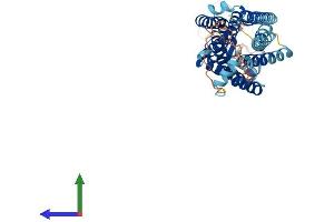 Protein Structure (PS) image for Neuromedin U Receptor 1 (NMUR1) (AA 1-428) protein (His tag) (ABIN7562468)