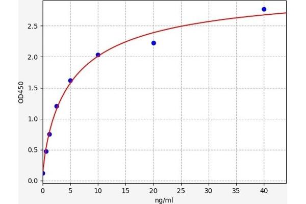 Synaptophysin ELISA 试剂盒