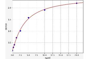 Typical standard curve (ACVR2A ELISA 试剂盒)