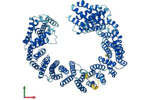 Protein Structure (PS) image for Exportin, tRNA (Nuclear Export Receptor For TRNAs) (XPOT) (AA 1-962) protein (His tag) (ABIN7556056)