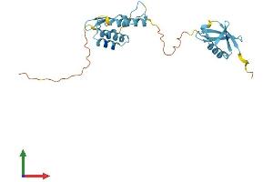 Protein Structure (PS) image for Ubiquitin Domain Containing 1 (UBTD1) (AA 1-227) protein (His tag) (ABIN7544922)