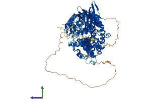 Protein Structure (PS) image for Chromosome 9 Open Reading Frame 3 (C9orf3) (AA 1-819) protein (His tag) (ABIN7552114)