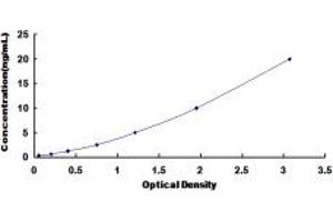 Typical standard curve (Slc30a3 ELISA 试剂盒)
