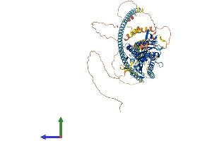 Protein Structure (PS) image for Kinesin Family Member C2 (KIFC2) (AA 1-792) protein (His tag) (ABIN7562188)
