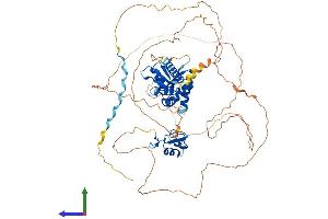 Protein Structure (PS) image for Mex-3 Homolog C (C. Elegans) (MEX3C) (AA 1-659) protein (His tag) (ABIN7554568)