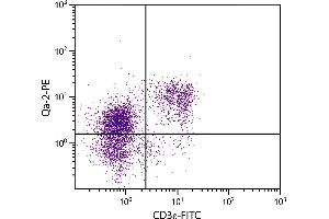 C57BL/6 mouse splenocytes were stained with Mouse Anti-Mouse Qa-2-PE. (Qa-2 抗体  (FITC))