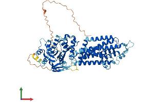 Protein Structure (PS) image for ATP-Binding Cassette, Sub-Family G (WHITE), Member 4 (ABCG4) (AA 1-646) protein (His tag) (ABIN7551872)