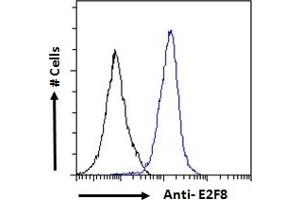 ABIN570707 Flow cytometric analysis of paraformaldehyde fixed A431 cells (blue line), permeabilized with 0. (E2F8 抗体  (Internal Region))