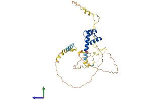 Protein Structure (PS) image for NK2 Homeobox 5 (NKX2-5) (AA 1-318) protein (His tag) (ABIN7563247)