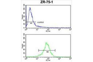 CHIA Antibody (N-term) FC analysis of ZR-75-1 cells (bottom histogram) compared to a negative control cell (top histogram). (CHIA 抗体  (N-Term))