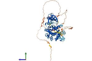 Protein Structure (PS) image for PAK3 (PAK3) (AA 1-559) protein (His tag) (ABIN7563896)