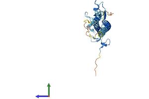 Protein Structure (PS) image for Tripartite Motif Containing 40 (TRIM40) (AA 1-246) protein (His tag) (ABIN7557298)