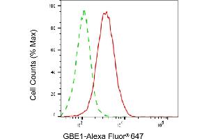 Flow cytometric analysis of GBE1 expression in HepG2 cells using GBE1 antibody (ABIN7798727), 1:1,000). (GBE1 抗体)