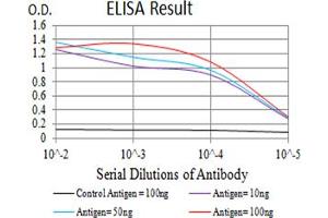 Black line: Control Antigen (100 ng),Purple line: Antigen (10 ng), Blue line: Antigen (50 ng), Red line:Antigen (100 ng) (ASF1A 抗体  (AA 1-204))