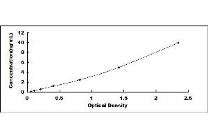 Typical standard curve (SERPINB9 ELISA 试剂盒)