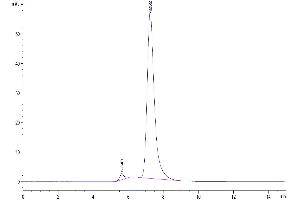 The purity of Human IL-1R3 is greater than 95 % as determined by SEC-HPLC. (IL1RAP Protein (AA 21-359) (Fc Tag))