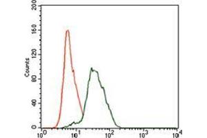 Flow cytometric analysis of HeLa cells using TWF1 mouse mAb (green) and negative control (red). (TWF1 抗体  (AA 335-384))