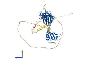 Protein Structure (PS) image for CUGBP, Elav-Like Family Member 6 (CELF6) (AA 1-460) protein (His tag) (ABIN7558219)