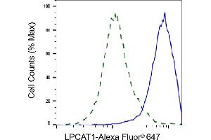 Flow cytometric analysis of LPCAT1 expression in HepG2 cells using LPCAT1 antibody (ABIN7799305), 1:2,000). (Recombinant LPCAT1 抗体)