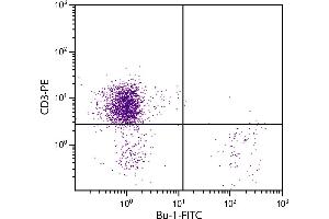 Chicken peripheral blood lymphocytes were stained with Mouse Anti-Chicken Bu-1-FITC. (Bu-1 抗体  (FITC))