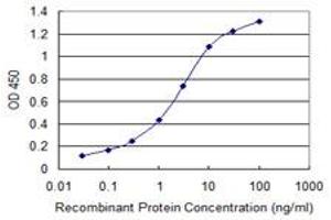 Detection limit for recombinant GST tagged GLS is 0. (Glutaminase 抗体  (AA 580-669))