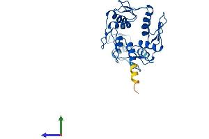 Protein Structure (PS) image for Zinc Finger Protein 664 (ZNF664) (AA 1-261) protein (His tag) (ABIN7545682)