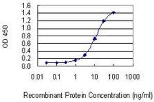 Detection limit for recombinant GST tagged TBX22 is 0. (T-Box 22 抗体  (AA 431-519))