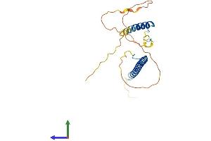 AlphaFold protein structure predicition of Mouse Recombinant Akirin2 Protein, UniprotID B1AXD8