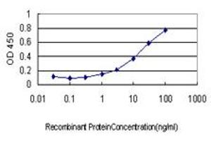 Detection limit for recombinant GST tagged RAB17 is approximately 1ng/ml as a capture antibody. (RAB17 抗体  (AA 1-212))