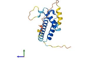 Protein Structure (PS) image for Thyroid Hormone Responsive (THRSP) (AA 1-150) protein (His tag) (ABIN7557774)