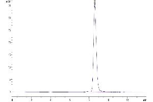 Size-exclusion chromatography-High Pressure Liquid Chromatography (SEC-HPLC) image for CD80 (CD80) (AA 35-242) protein (His tag) (ABIN7273891)