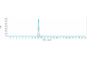 The purity of Anti-IL-1RL1 / ST2 / IL-33R Reference Antibody (astegolimab) is 100 % , determined by SEC-HPLC. (Recombinant IL1RL1 (Astegolimab Biosimilar) 抗体)