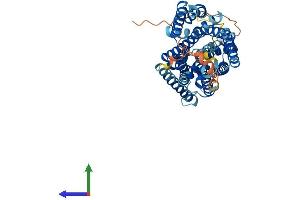 Protein Structure (PS) image for Solute Carrier Family 38 Member 3 (SLC38A3) (AA 1-504) protein (His tag) (ABIN7555304)