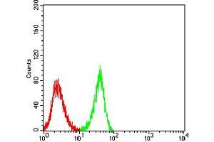 Flow cytometric analysis of SH-SY5Y cells using CHRNA3 mouse mAb (green) and negative control (red).