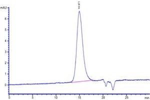 The purity of Human VEGF110, Tag Free (Hied) (ABIN4948987,ABIN4948990,ABIN6810029) was greater than 90 % as determined by . (VEGF110 (AA 27-136) (Active) 蛋白)