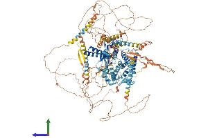 Protein Structure (PS) image for Cyclic Nucleotide Gated Channel beta 1 (CNGB1) (AA 1-1251) protein (His tag) (ABIN7553525)