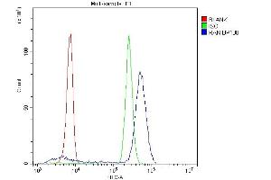 Flow Cytometry analysis of U937 cells using anti-Ran antibody (ABIN5518950). (RAN 抗体  (AA 2-216))